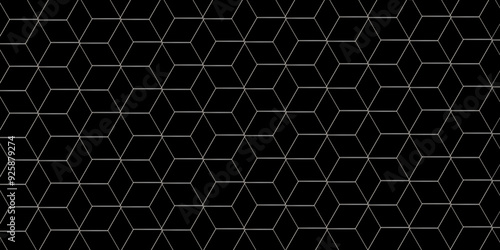 Abstract minimal geometric black and white light background design. Vector illustration of hexagons pattern. luxury black pattern geometric mesh cell texture. Modern pattern elegant gold line template