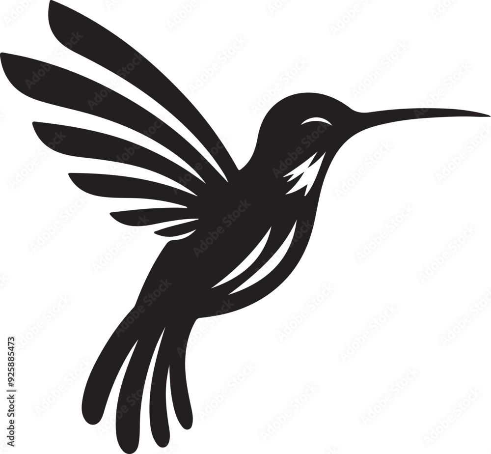 Fototapeta premium black and white hummingbird