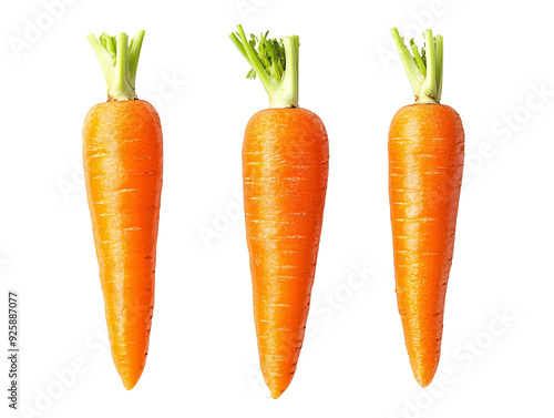 a group of carrots with green stems photo