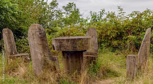 
Rest area carved out of tree trunks in the forest photo