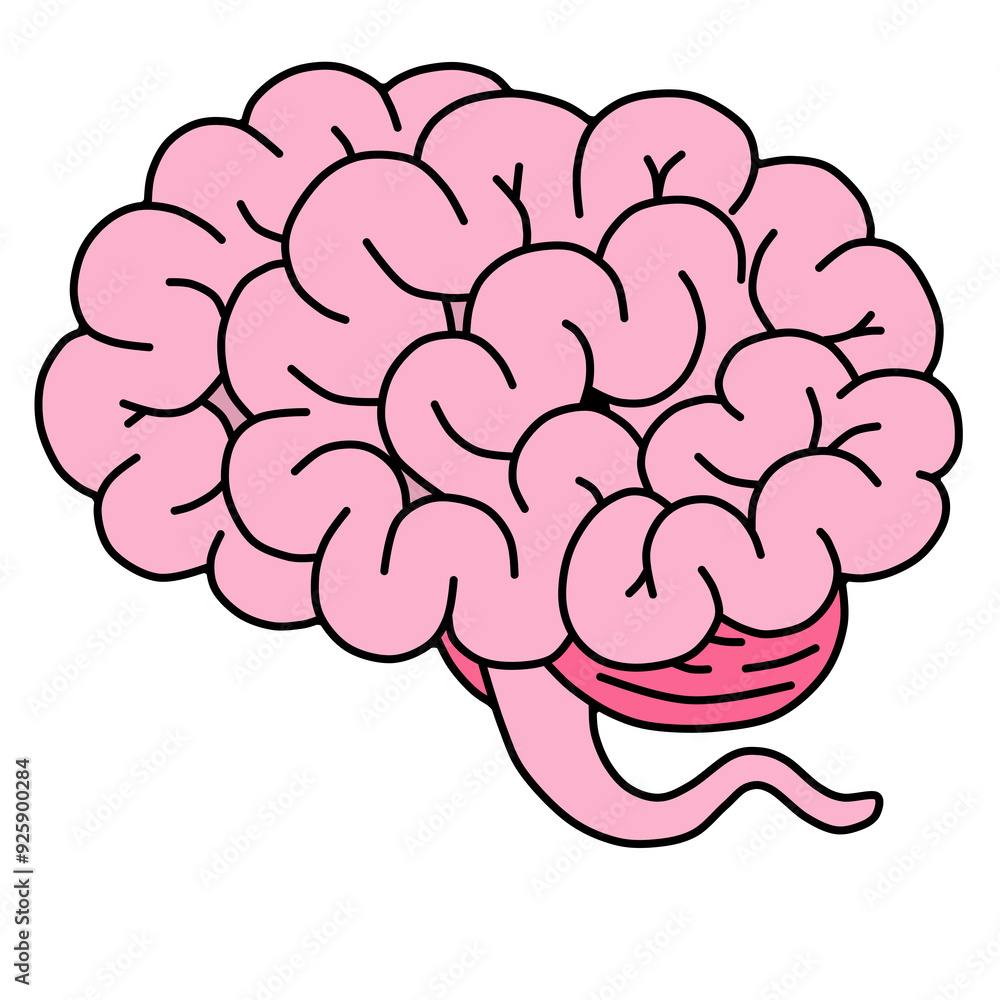 Brain organ Brain organ