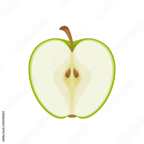 Green apple slice. Vector cartoon flat illustration of half apple. Fresh fruit icon. 
