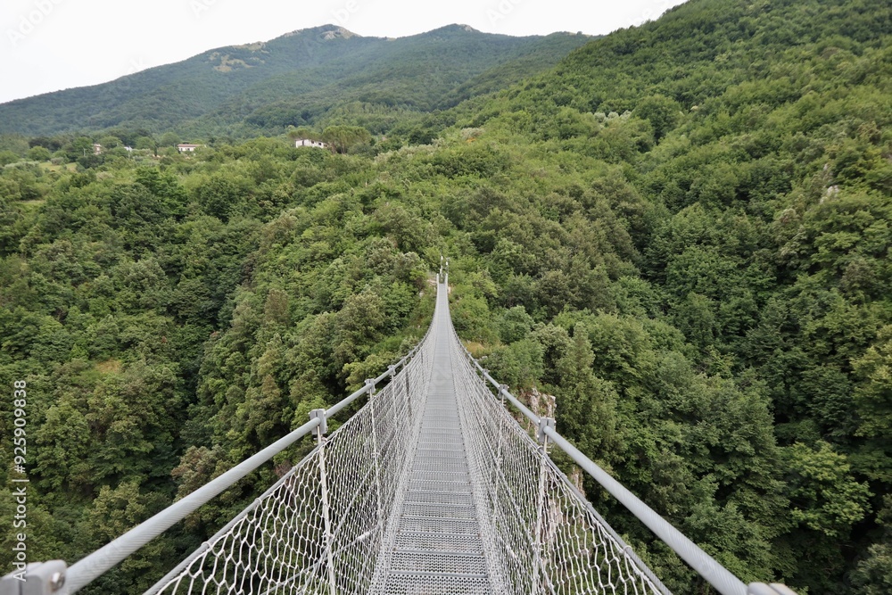 Laviano - Panorama dal ponte tibetano