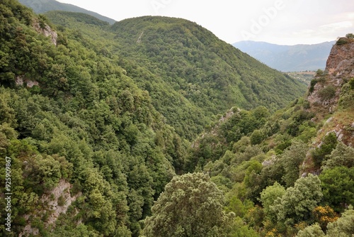 Obraz na płótnie Laviano - Panorama del Vallone delle Conche dal ponte tibetano w salonie