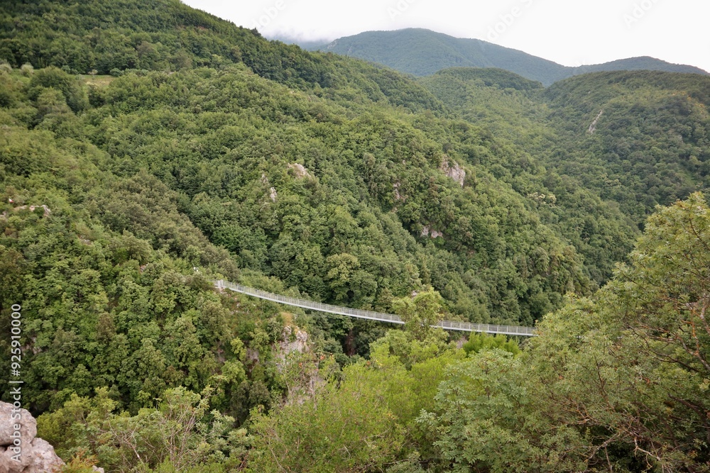 Laviano - Ponte tibetano sul Vallone delle Conche