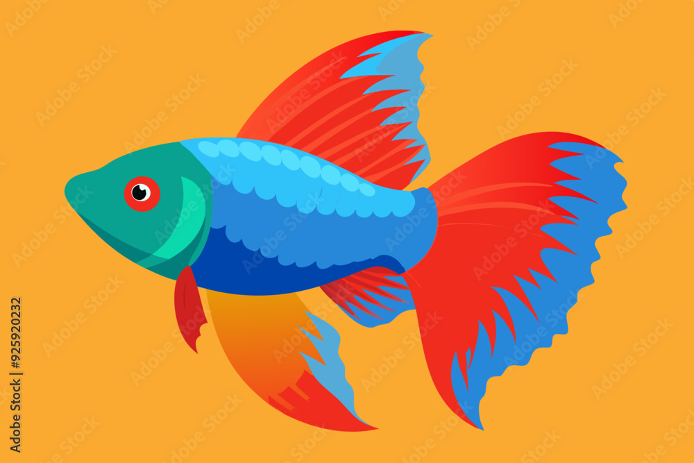 Betta fish vector art and illustration Betta fish vector art and illustration