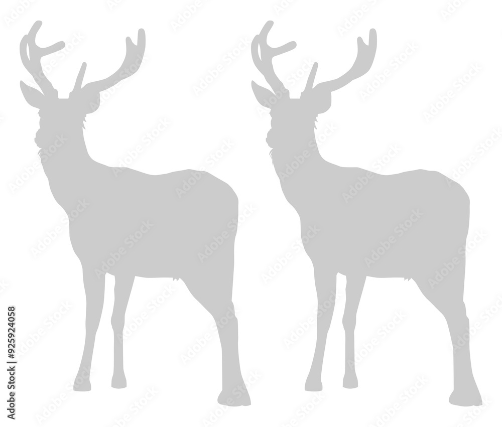 Silhouette of the Pair Deer. Flat style, can use for Logo Gram, Emblem, Animal Illustration, Pictogram, or for Graphic Design Element. Format PNG Silhouette of the Pair Deer. Flat style, can use for Logo Gram, Emblem, Animal Illustration, Pictogram, or for Graphic Design Element. Format PNG