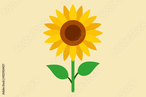 sunflower vector art and  illustration photo