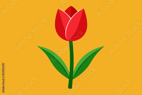  Tulip flower vector art and illustration photo