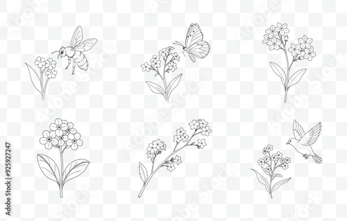 Print Forget Me Not Flower Line Art Vector Set Delicate Botanical Illustrations of Forget Me Nots in Black and White