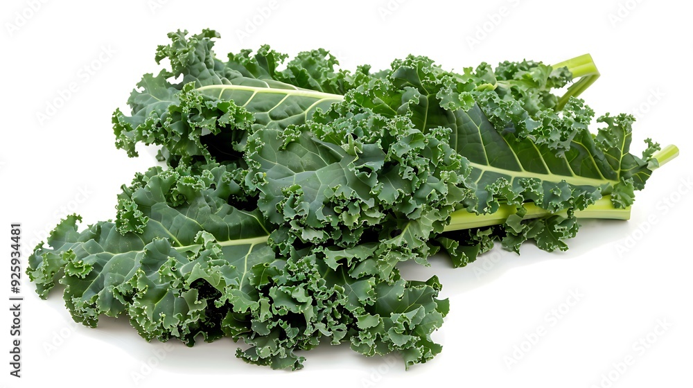 Winter kale, leafy and dark green, on a white background. Winter kale, leafy and dark green, on a white background.