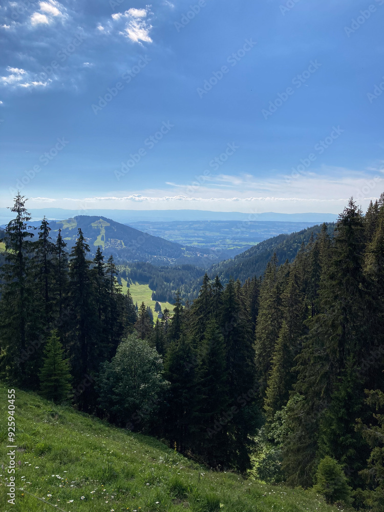 Obraz premium forest in the swiss mountains, Fribourg state
