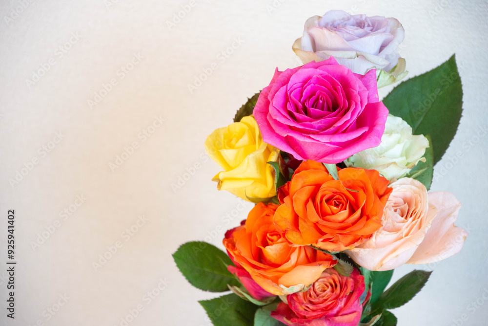 カラフルな薔薇