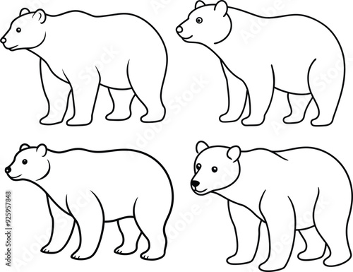 Bear outline illustration package, standing on its hind legs, drawn in a simple, powerful form on a white background