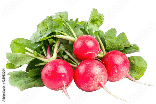 Fresh, vibrant radishes with green leaves, perfect for salads and healthy dishes.