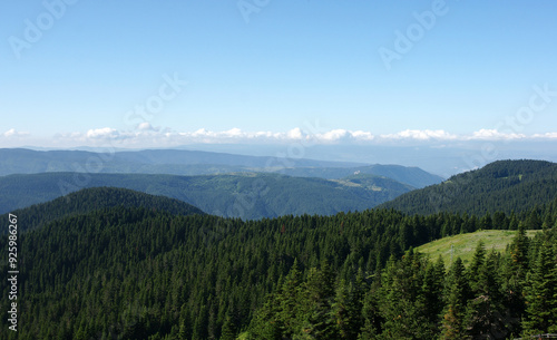 Ilgaz Mountain is in Kastamonu, Turkey. photo