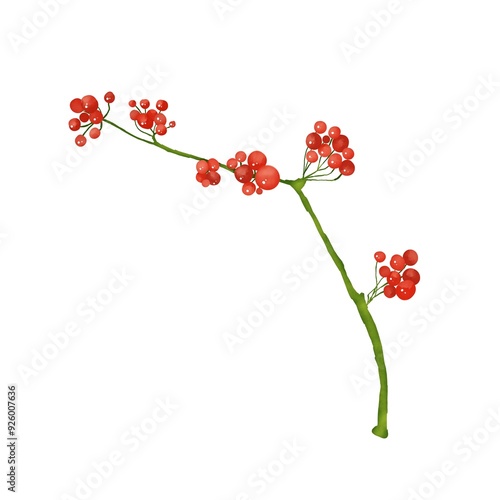 Christmas green branch of viburnum with red berries without leaves digital watercolor color illustration for use in printing: postcards, posters, coupons, discounts, packaging photo