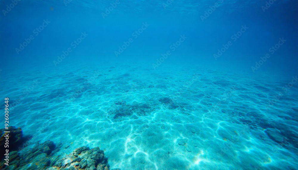 Fototapeta premium ocean sea underwater