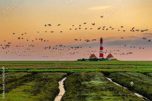 Westerhever Leuchtturm mit Vögel
