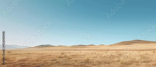 A vast  empty desert with a clear blue sky
