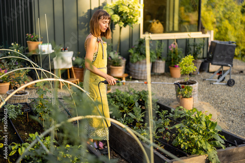 A woman in a green apron sprays plants in raised garden beds with organic pesticide or biofertilizer. Emphasizing home growing, sustainability, and natural plant protection photo