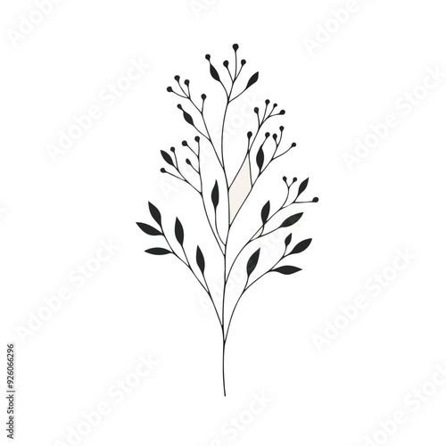 Minimal feminine botanical floral branch in silhouette style Hand drawn wedding herb, minimalistic flowers with elegant leaves Botanical rustic trendy greenery 