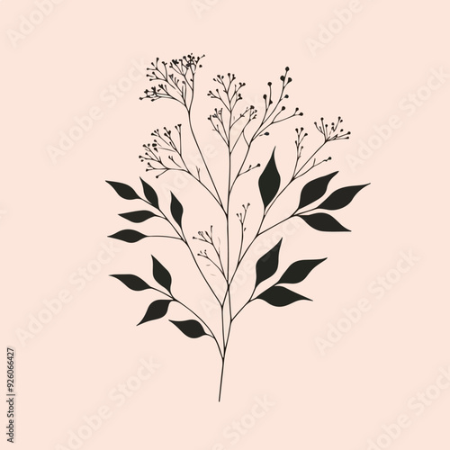 Minimal feminine botanical floral branch in silhouette style Hand drawn wedding herb, minimalistic flowers with elegant leaves Botanical rustic trendy greenery 
