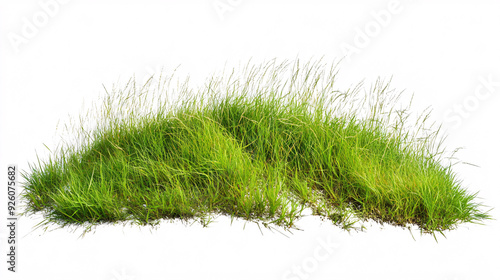 Lush Green Grass Patch Isolated