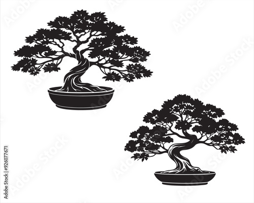 Bonsai silhouette on white background