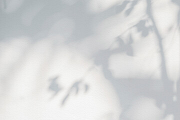 Tree shadow and light of leaf branch background. Nature leaves tropical jungle tree branch dark shadows and light from sunlight on wall texture for background wallpaper design, shadow overlay effect