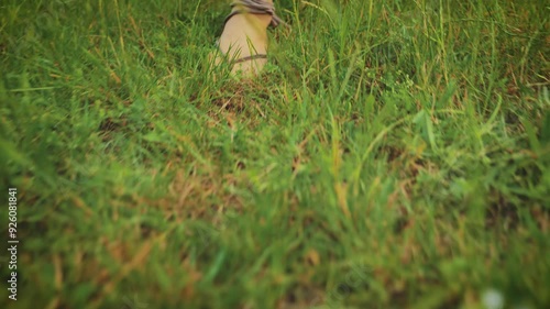 Wallpaper Mural Close-up Female legs feet barefoot stepping on green grass enjoying summer nature meadow forest trees. Happy Girl fantasy bohemian boho style red dress walking in wild summer field. Allergy freedom Torontodigital.ca