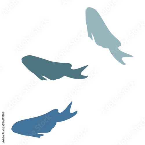 Marine life, sea ocean underwater creatures fish, shells algae seaweed, Ink and pen sketch hand drawn. Single object illustration, stylized, isolated on white. Zoo shop, aquarium, cosmetics, resort
