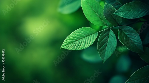 Modern close up of leaves on blurred green background. Generative ai