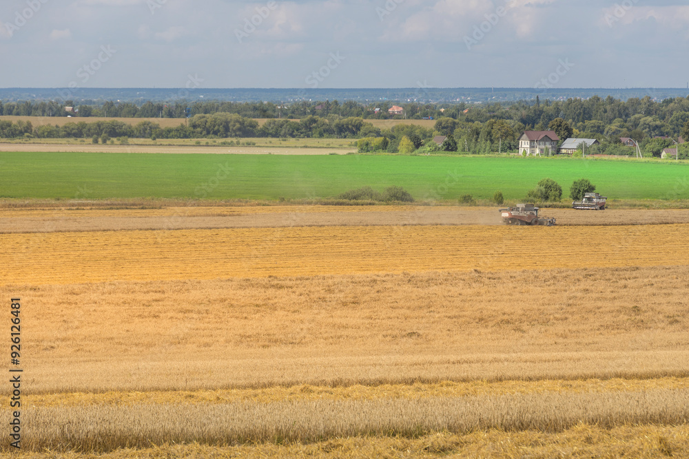 Obraz premium A field of crops is being harvested by a tractor