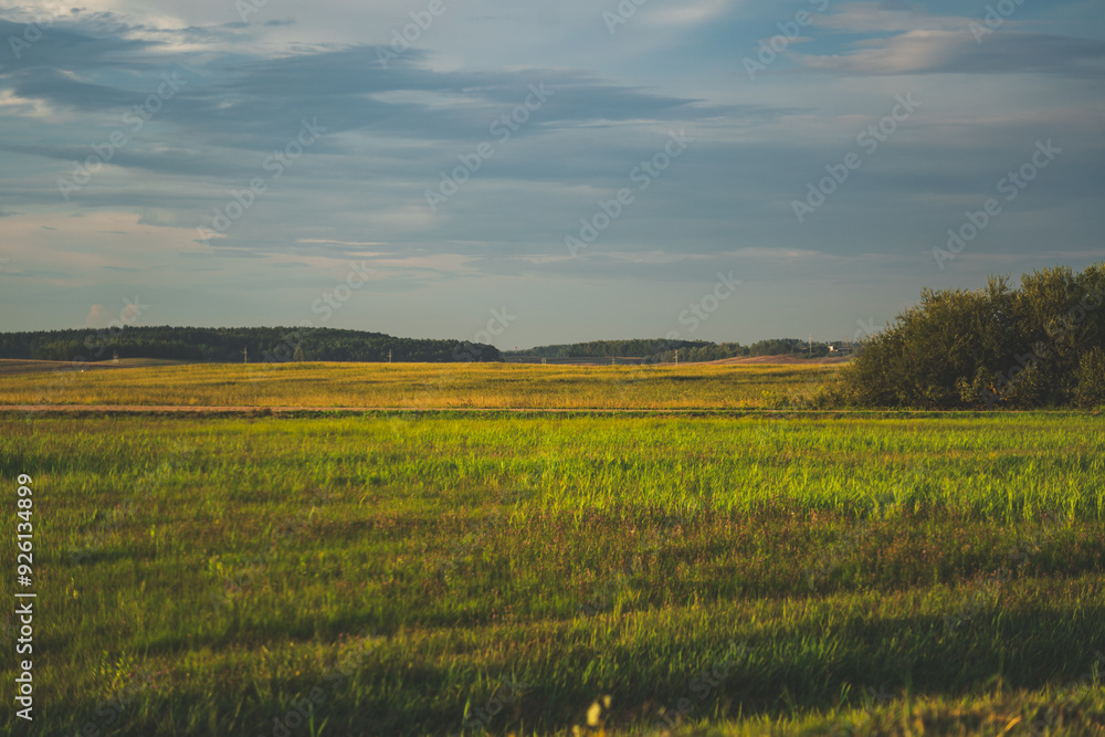 Fototapeta premium View of the field in the evening in the village. The clouds