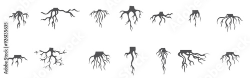Tree roots isolated collection nature root silhouettes stammer different plants abstract branches.