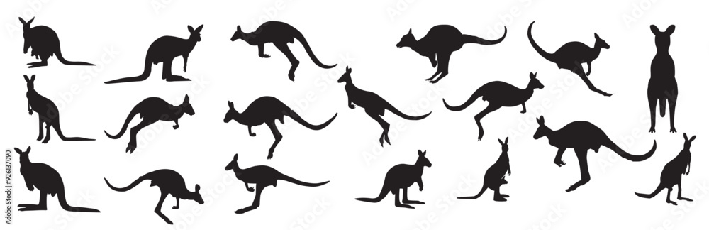 Kangaroo silhouettes. Kangaroo silhouettes.