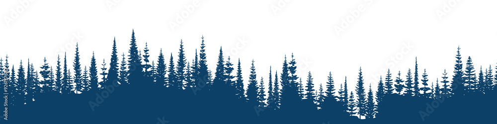 Obraz premium Coniferous forest, seamless border, isolated on white background 