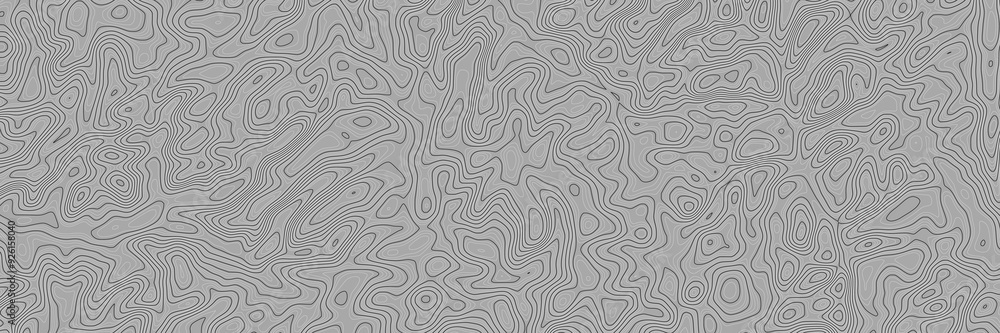 Geographical map, contour map, vector design Geographical map, contour map, vector design