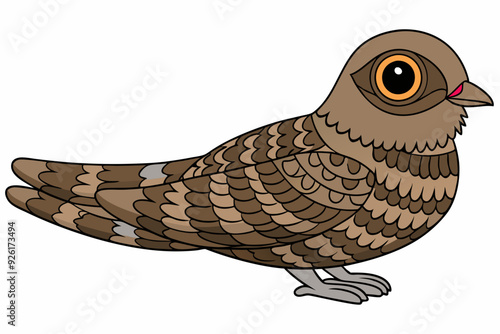 European Nightjar Vector Illustration with Camouflaged Plumage on White Background photo