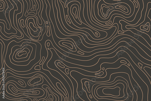 Topographic map with mountain relief, contur abstract wavy lines, top view land