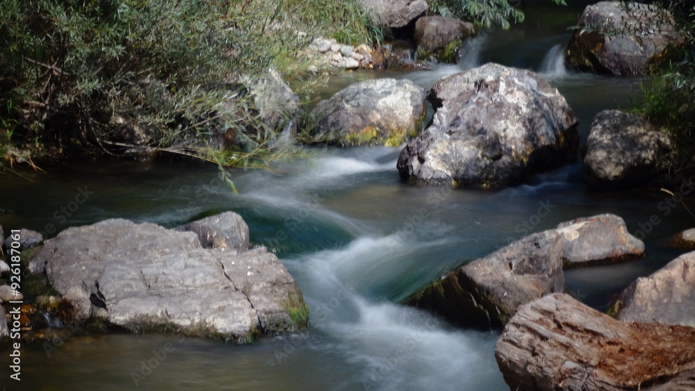 stream in the forest stream in the forest
