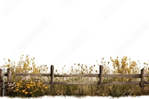 Field border outdoors nature plant.