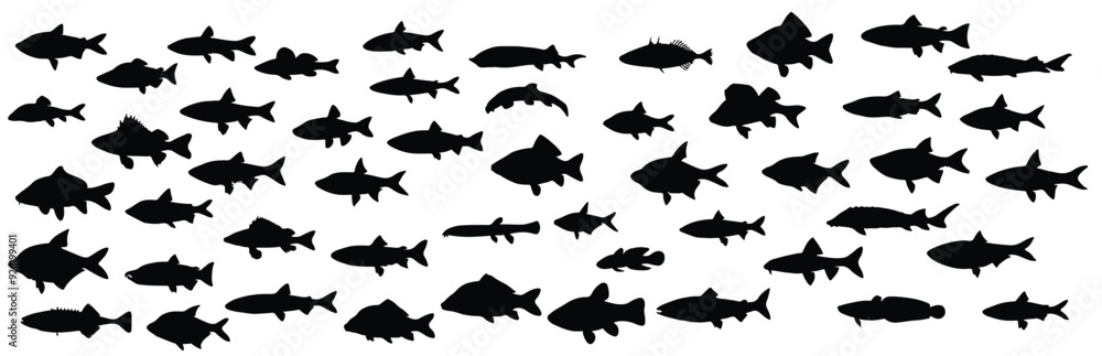 illustration with fish collection isolated white background. illustration with fish collection isolated white background.