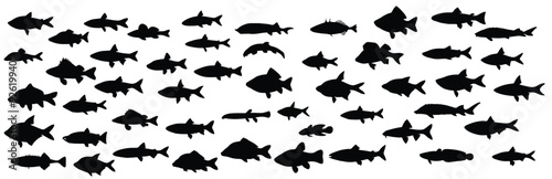 illustration with fish collection isolated white background.