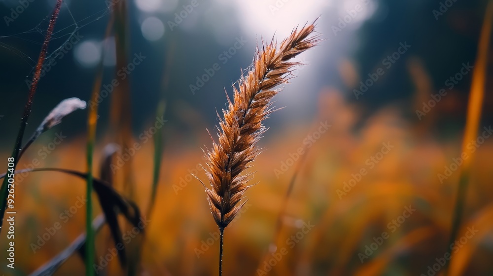 A tight shot of a plant amidst a sea of grass Background consists of trees, softly blurred A tight shot of a plant amidst a sea of grass Background consists of trees, softly blurred