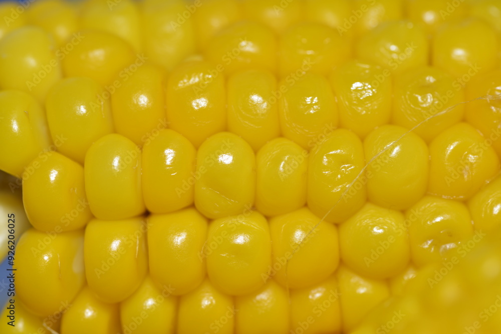 Golden Grains: A Macro Exploration of Corn and Cob Golden Grains: A Macro Exploration of Corn and Cob