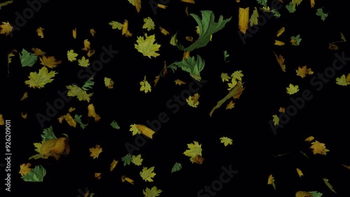 Dynamic full screen animated autumn leaves transition appearing from side than exploding.