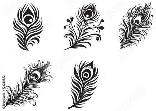 Set of Black peacock feather silhouette  Vector illustration, Vector silhouette of a Peacock feather, black and white Peacock feather Silhouette, Peacock feather logo icon template vector illustration