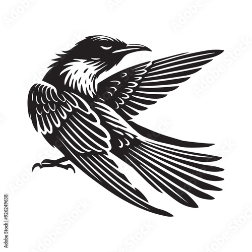 Yellow-billed Cuckoo silhouette, Cuckoo Bird Clipart,  Yellow-billed Cuckoo preening Illustration in black and white